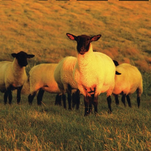 Nile’s NILE 12月号に「ふわりぃスリム かかと保湿ソックス」が掲載されました